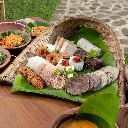 Wild Glamping Gal Oya - Thema Collection Hotel Galgamuwa  Exterior photo