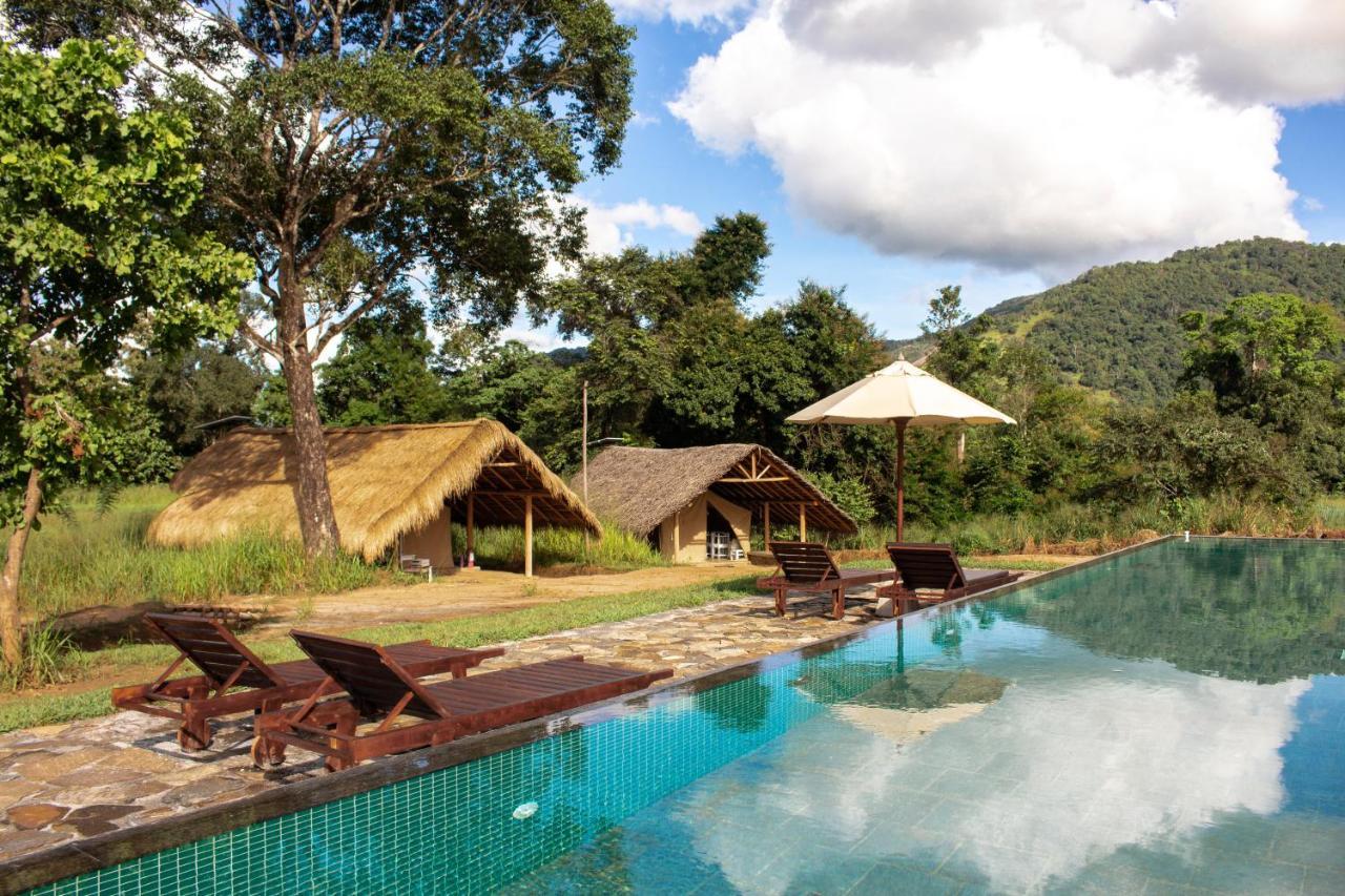 Wild Glamping Gal Oya - Thema Collection 4*