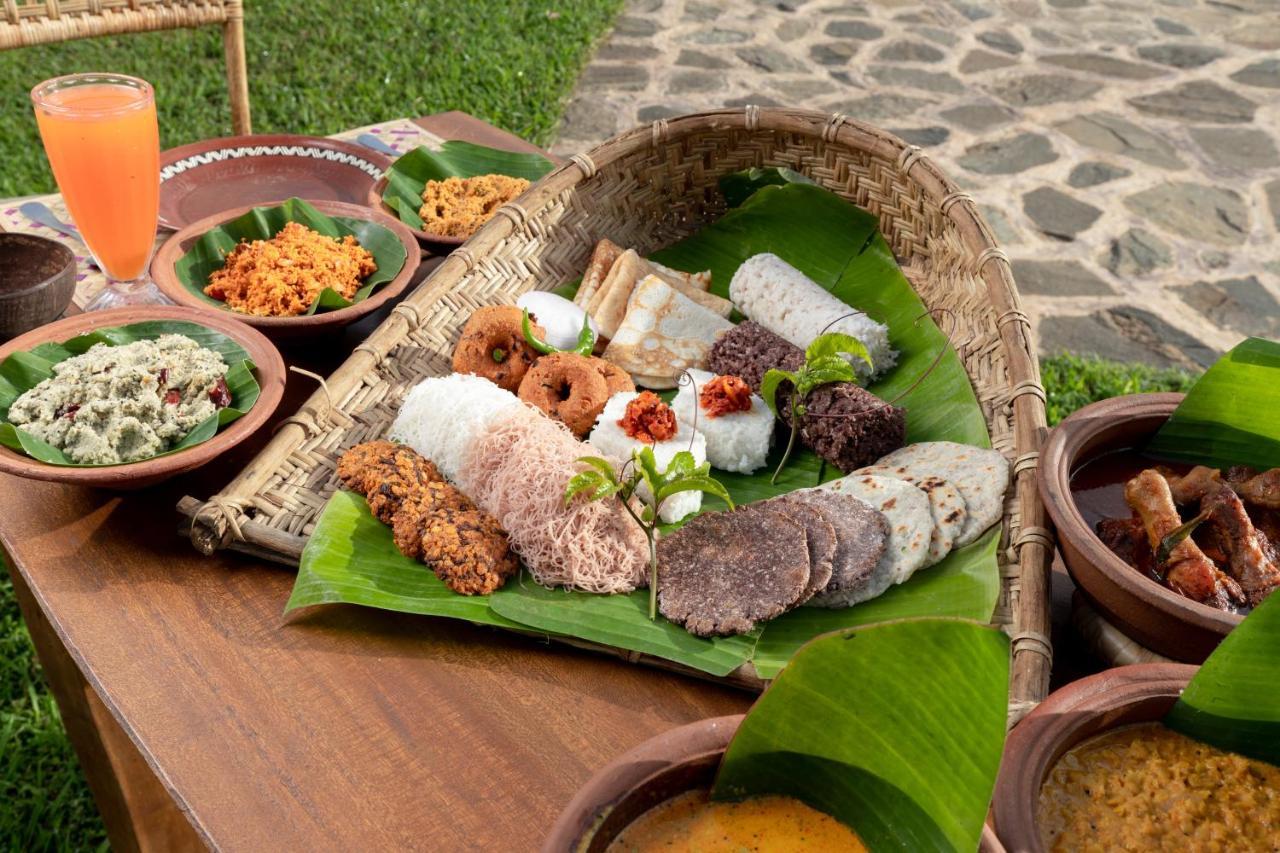 Luxury tent Wild Glamping Gal Oya - Thema Collection Galgamuwa (Monaragala)